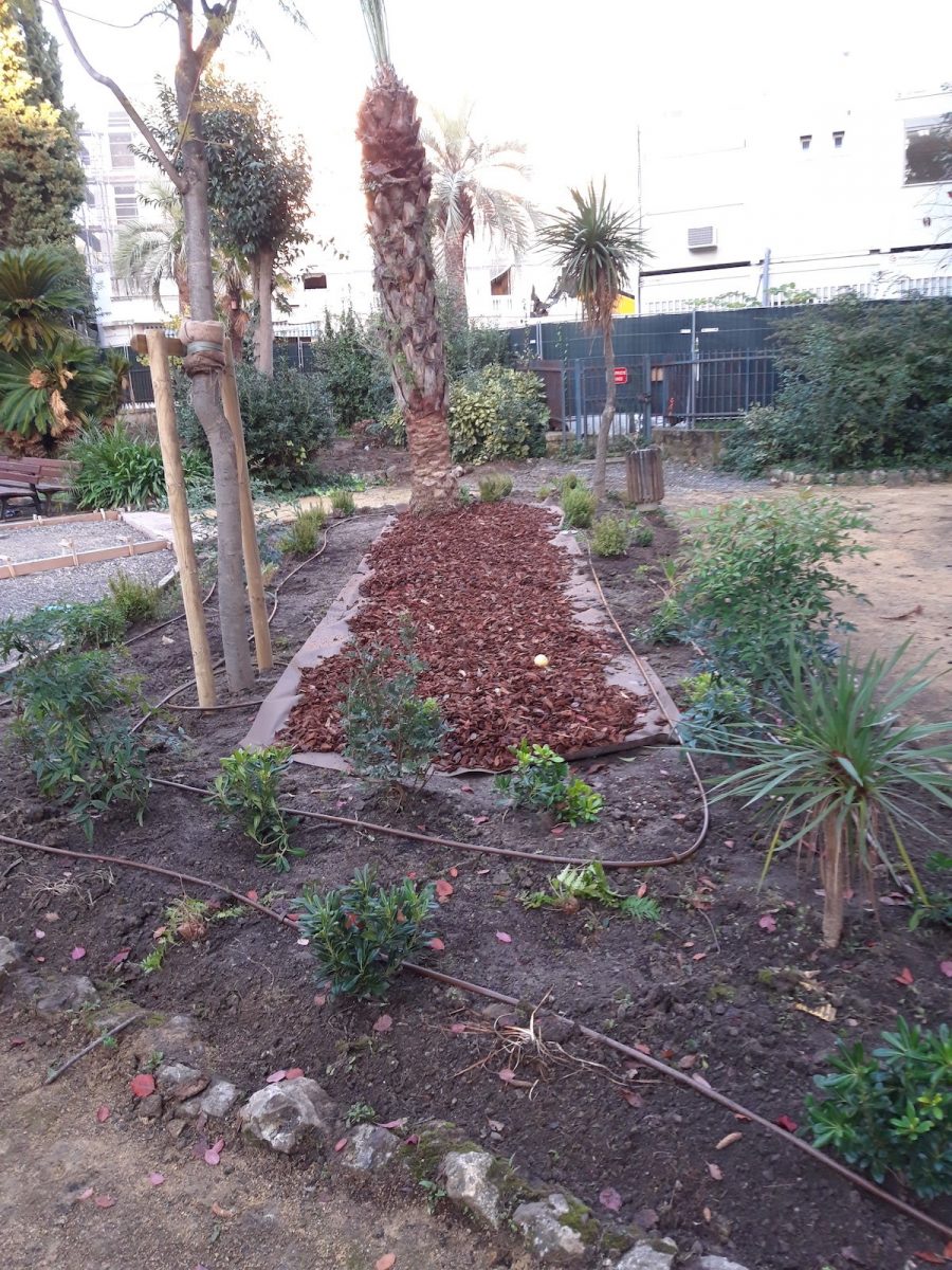 Arrosage automatique