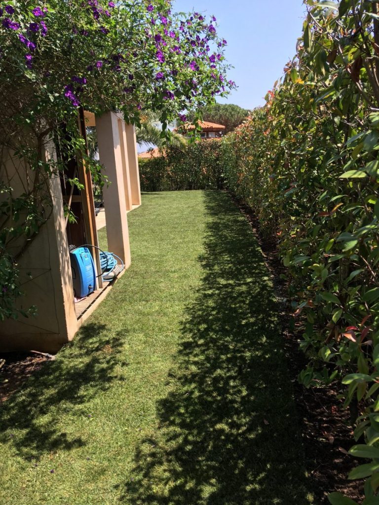 Paysagiste et entretien de jardin à Fréjus - Pose de gazon plaques